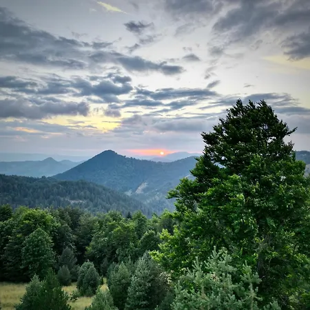 Car Sume Mokra Gora