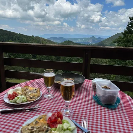 Car Sume Mokra Gora