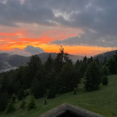 Car Sume Holiday home Mokra Gora