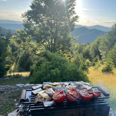 Holiday home Car Sume Mokra Gora